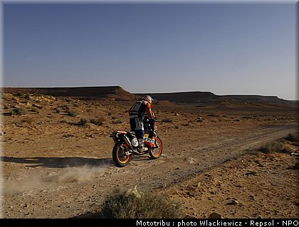 viladoms_017.jpg