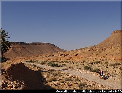 viladoms_021.jpg