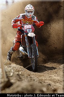 belometti_2.jpg