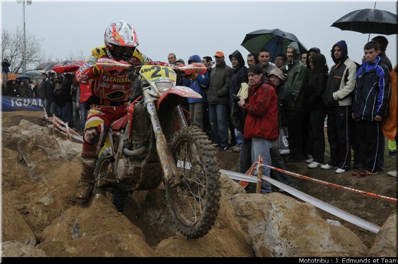 mossini