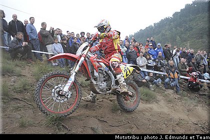 mossini_2.jpg