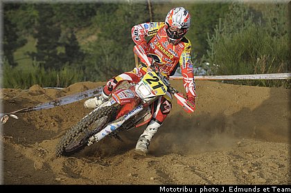 mossini_3.jpg