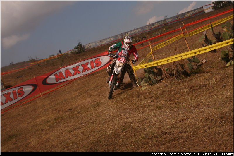 isde_2010_pajaro