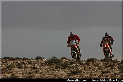 africa_race_3.jpg