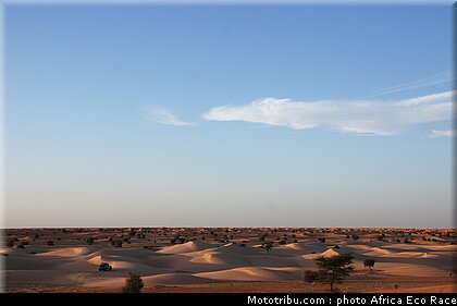 africa_eco_race_reco_2010_025.jpg