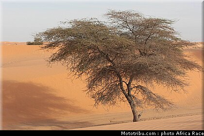 africa_eco_race_reco_2010_004.jpg