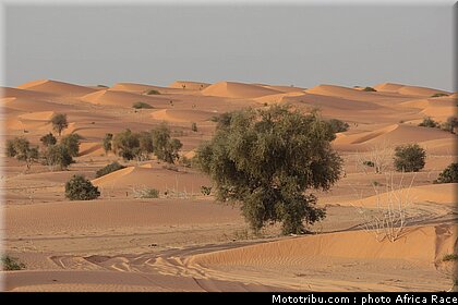 africa_eco_race_reco_2010_005.jpg