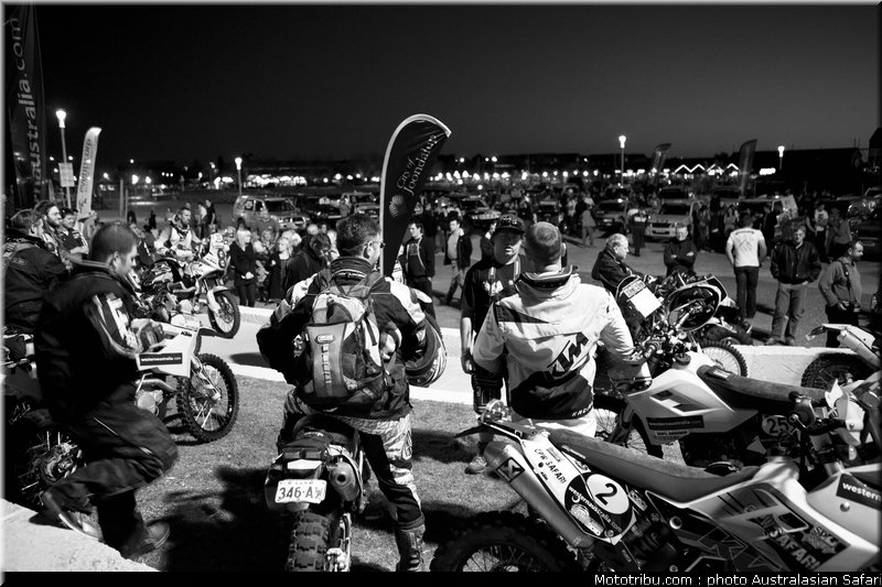 australasian_safari_014_2010