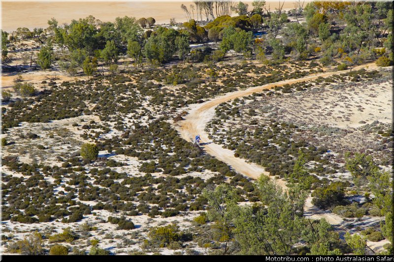 australasian_safari_023_2010