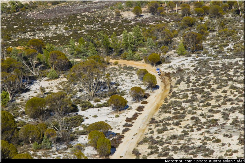 australasian_safari_024_2010