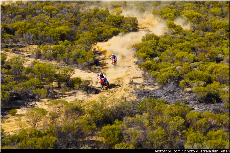 australasian_safari_029_2010
