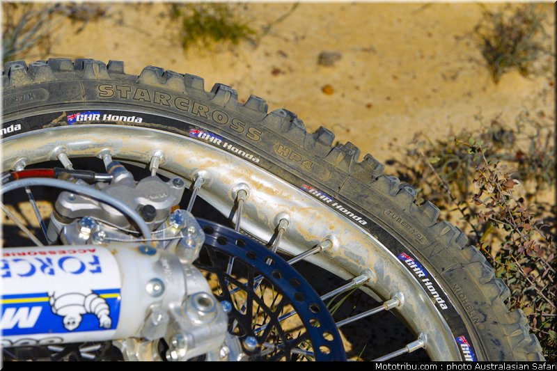 australasian_safari_032_2010