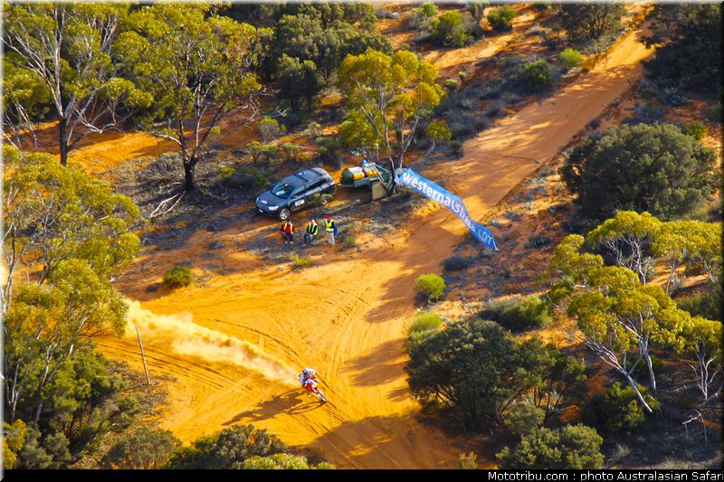 australasian_safari_043_2010