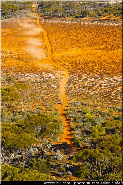 australasian_safari_047_2010