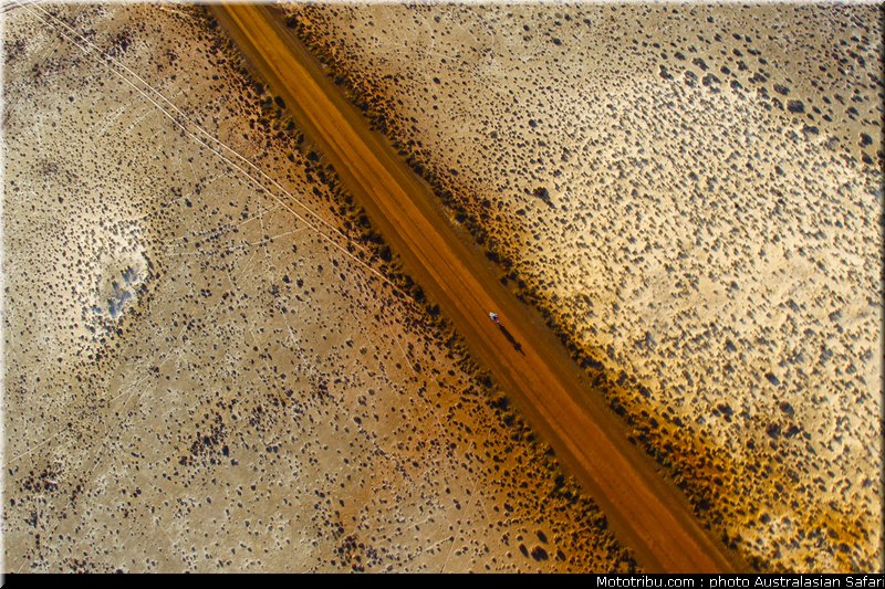 australasian_safari_048_2010