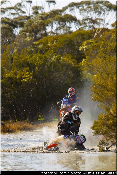 australasian_safari_049_2010