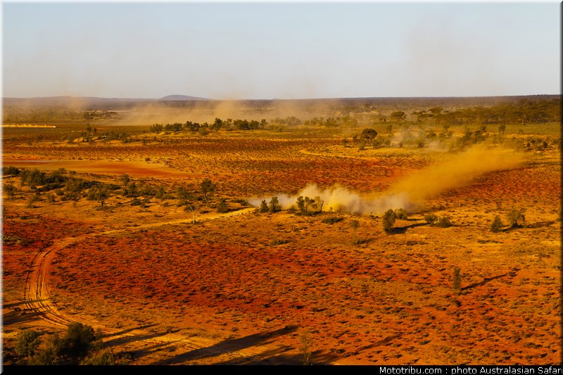 australasian_safari_051_2010