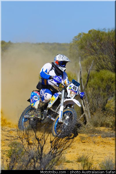 australasian_safari_baumhammer_2010