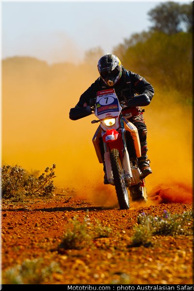 australasian_safari_chittick_2010