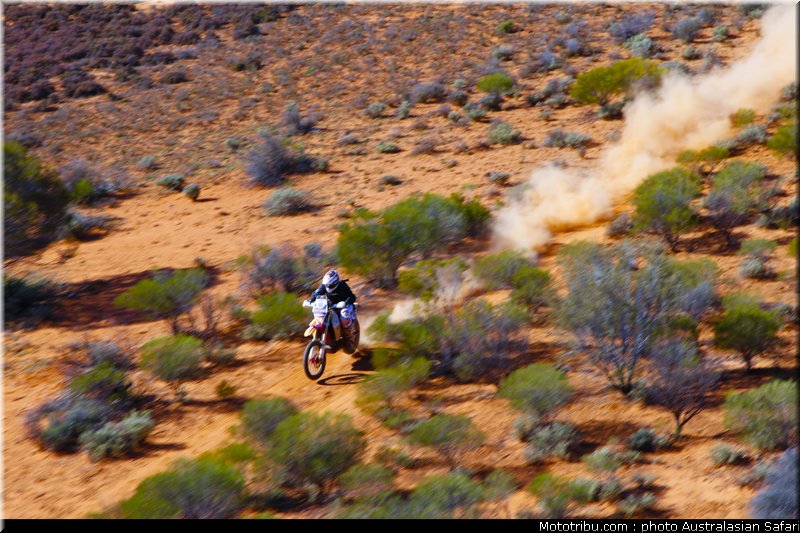 australasian_safari_costello_6_2010