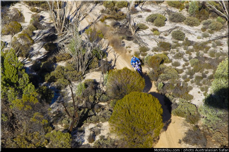 australasian_safari_faggotter_02_2010