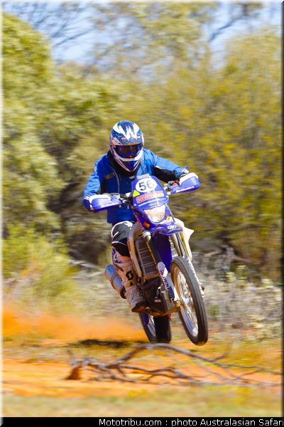 australasian_safari_faggotter_04_2010