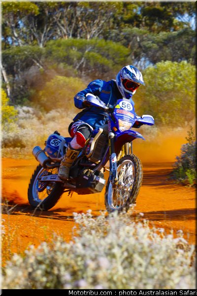australasian_safari_faggotter_09_2010