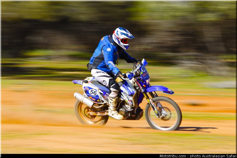australasian_safari_faggotter_13_2010