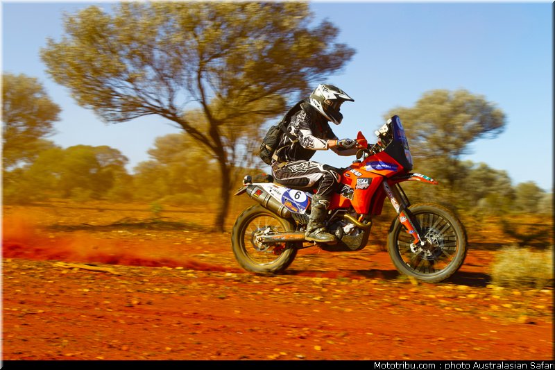 australasian_safari_fish_05_2010