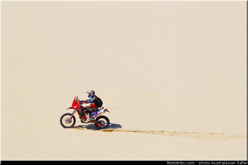 australasian_safari_graham_15_2010
