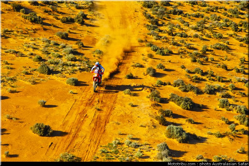 australasian_safari_graham_18_2010