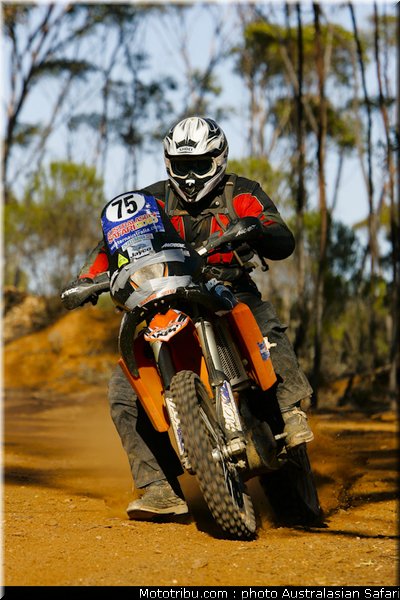australasian_safari_lawn_2010