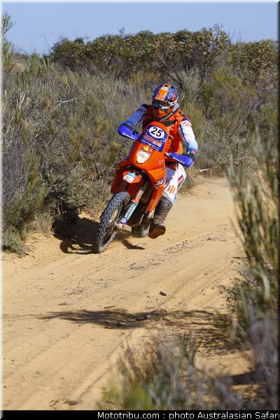 australasian_safari_mayfield_1_2010