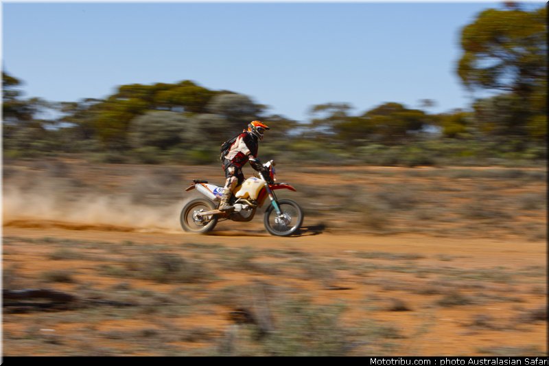 australasian_safari_petrig_2010