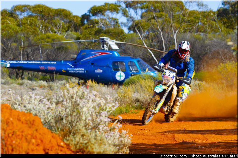 australasian_safari_schwarz_2_2010