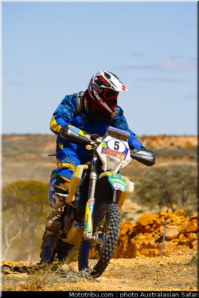 australasian_safari_schwarz_6_2010
