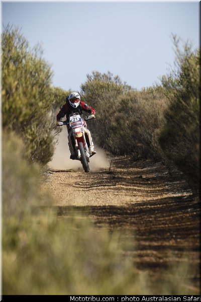 australasian_safari_scott_3_2010