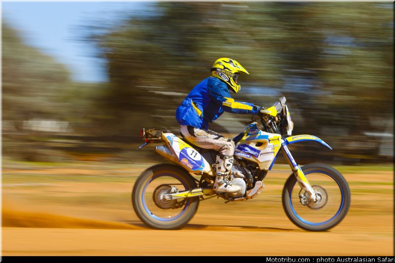 australasian_safari_seel_2_2010