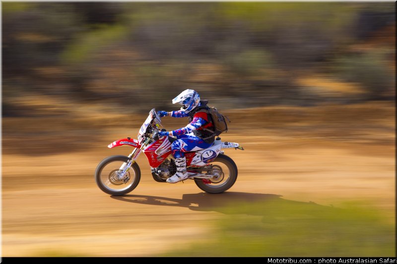 australasian_safari_smith_j_02_2010