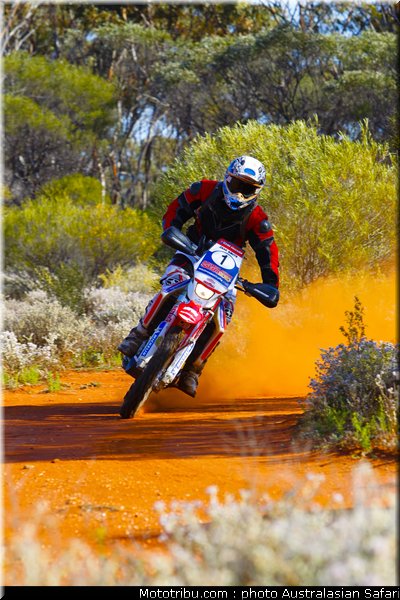 australasian_safari_smith_j_09_2010