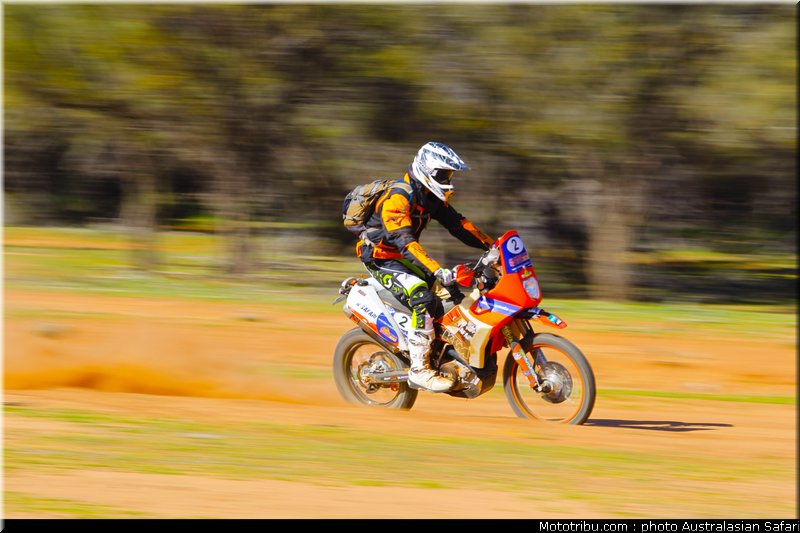 australasian_safari_smith_t_09_2010