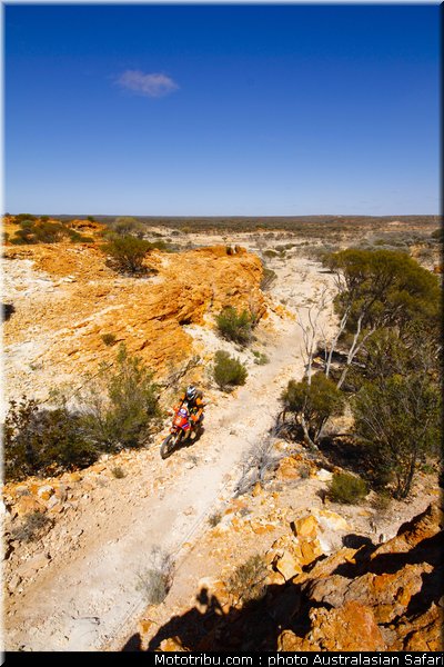 australasian_safari_smith_t_10_2010