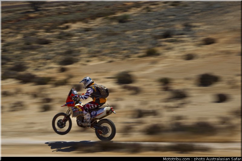 australasian_safari_smith_t_16_2010