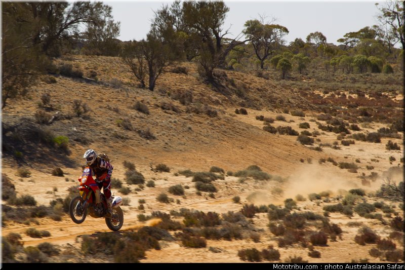 australasian_safari_smith_t_17_2010