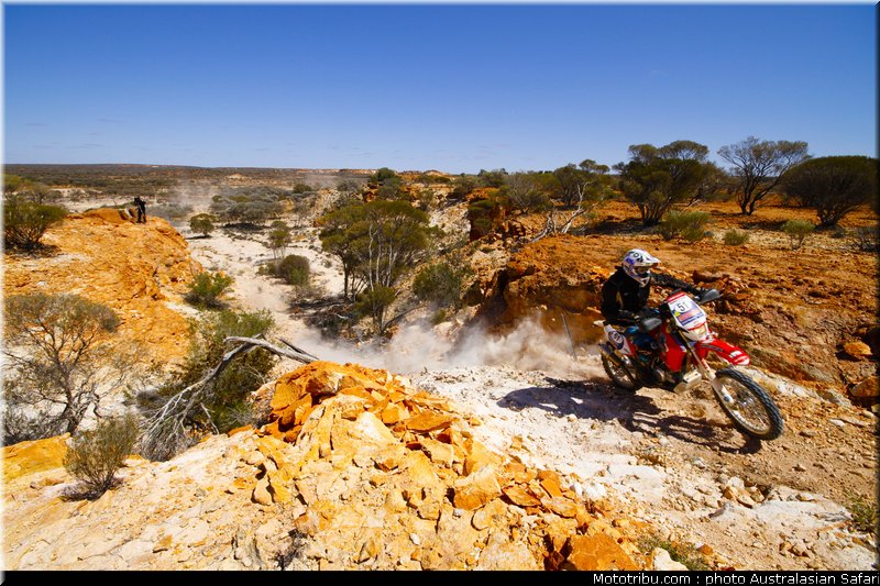 australasian_safari_strange_2_2010