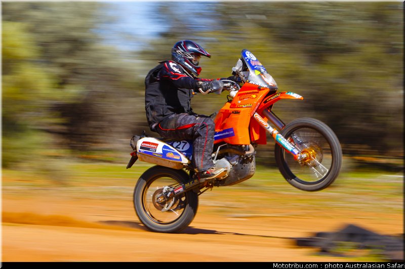 australasian_safari_tomlins_2010