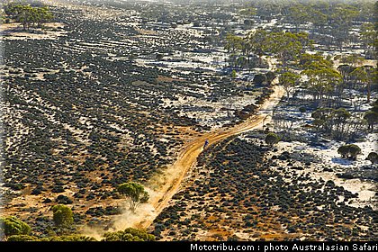 australasian_safari_020_2010.jpg