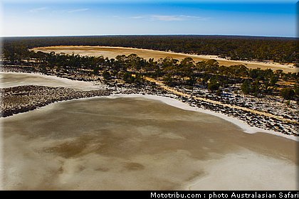 australasian_safari_022_2010.jpg