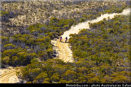 australasian_safari_027_2010.jpg