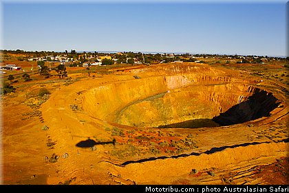 australasian_safari_037_2010.jpg